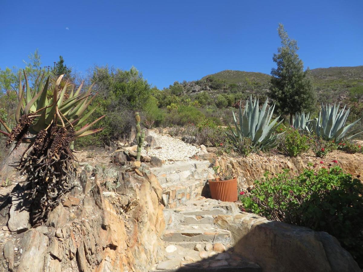 Bo Kouga Mountain Retreat 호텔 Ongelegen 외부 사진